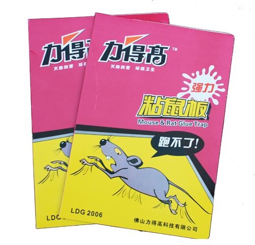 ֣רճճ֣ܴ øճ֣ܴ 
ؼ: