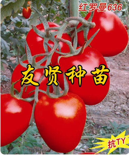  С ӣҷ ٹҵ 
ؼ: