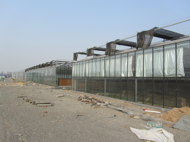 Ϋ-Ϋｨ-˫ũҵ 
ؼ: