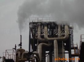 ȻգŹ¯ȻգƷ֮ѡ 
ؼ: