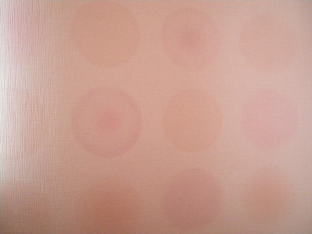 ������ֽ���� ������ֽ�������۳�����ֽ�����ļҺ�-��ϱ�ֽ 
�ؼ���: