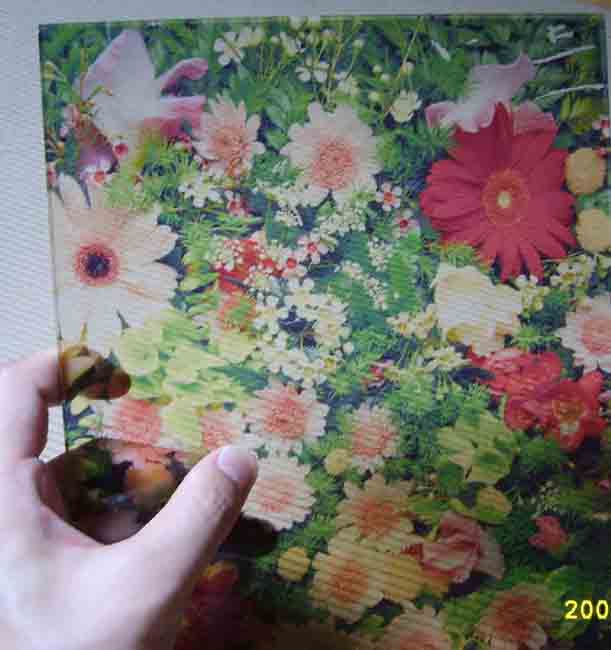 Ӧǿӡˢ ݸרҵǿӡˢ 
ؼ: