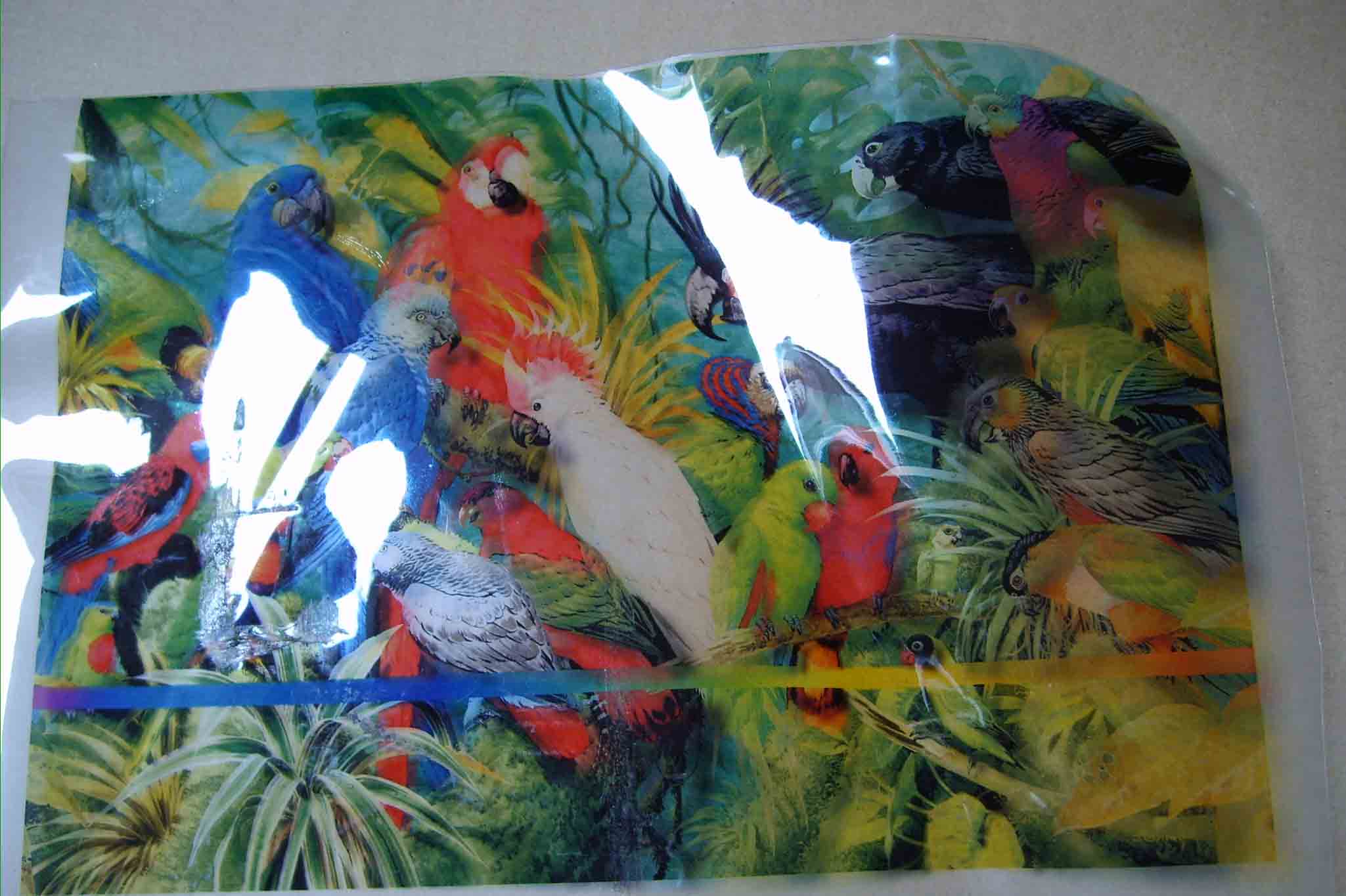 ӦƤӡ ݸרҵƤӡ Ƥӡˢ 
ؼ: