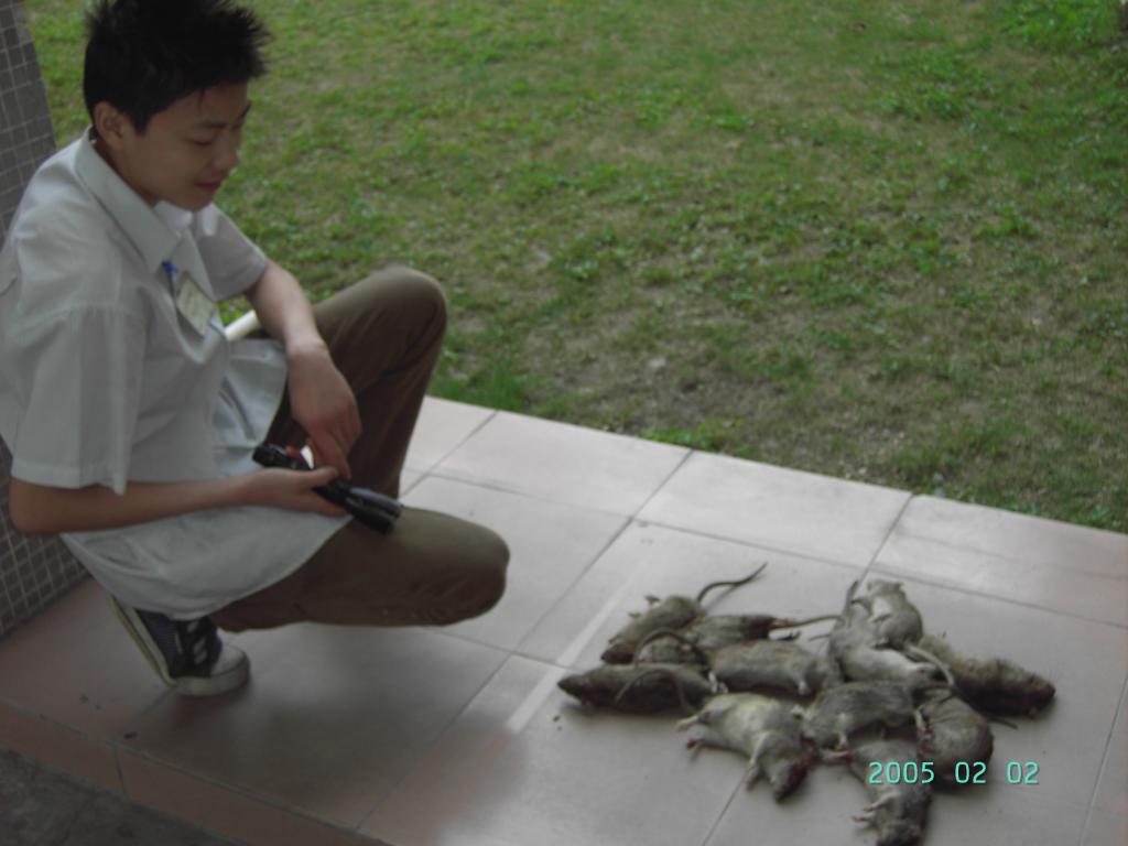 ͷϹ˾ ͷɱ湫˾ Ҷݸƴϳ溦޹ 
ؼ: