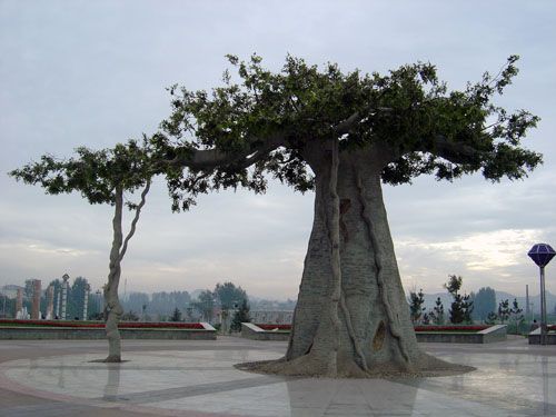 ������˳԰��С������ 
�ؼ���: