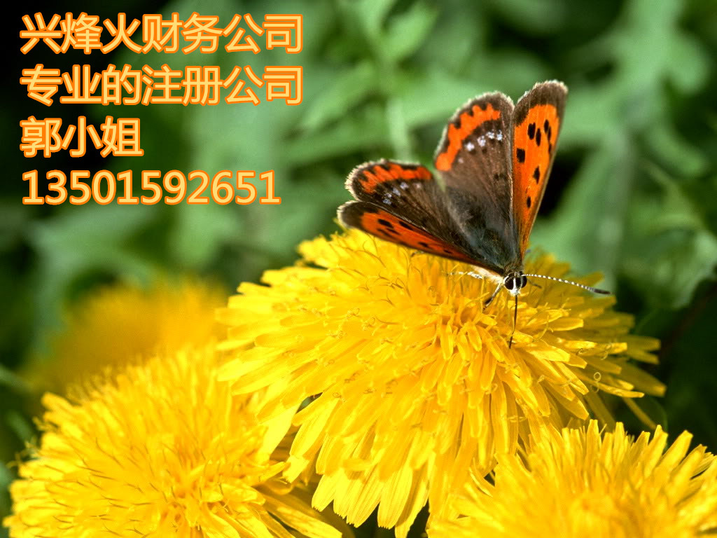 Ứ԰רҵעṫ˾ 
ؼ: