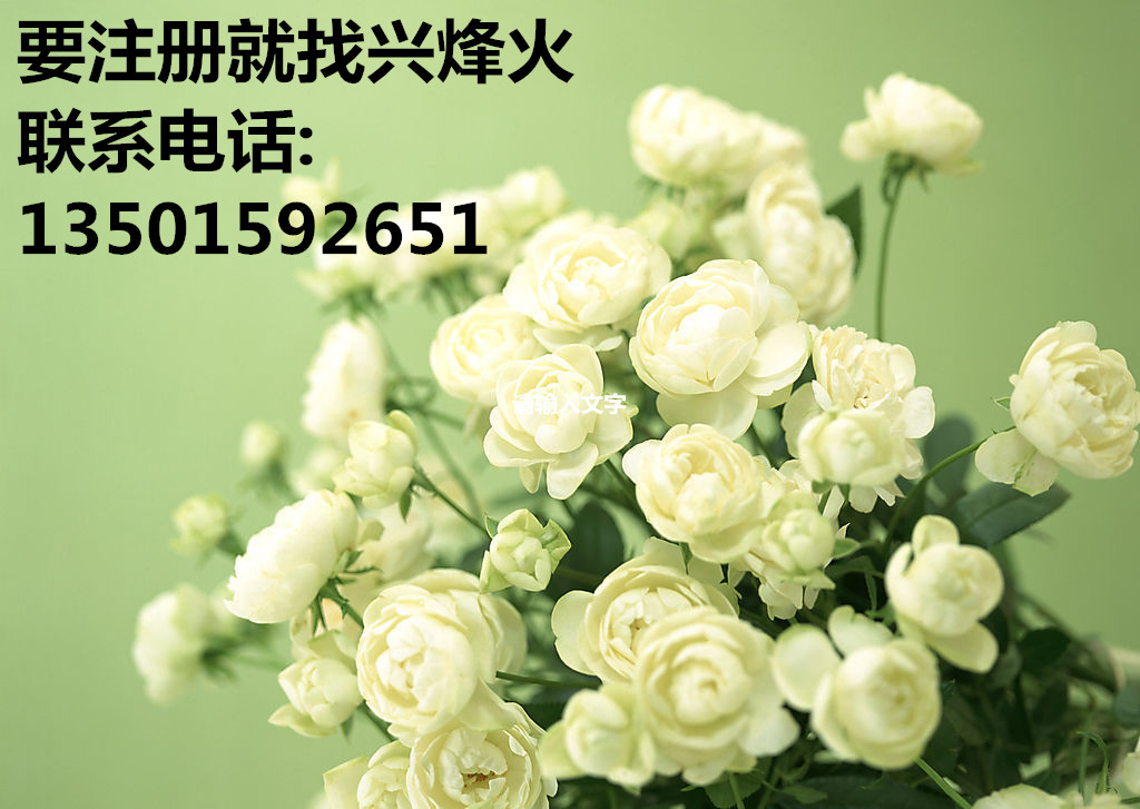 ɽҵרҵעṫ˾ 
ؼ:
