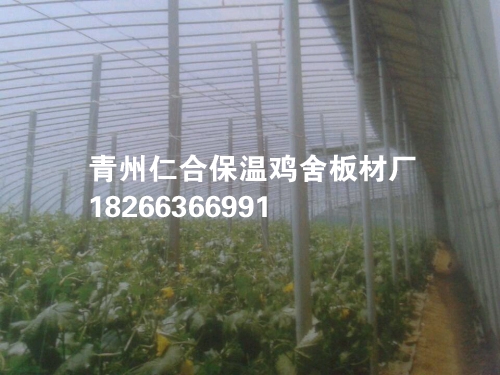 ´ｨ裬ѡʺ 
ؼ: