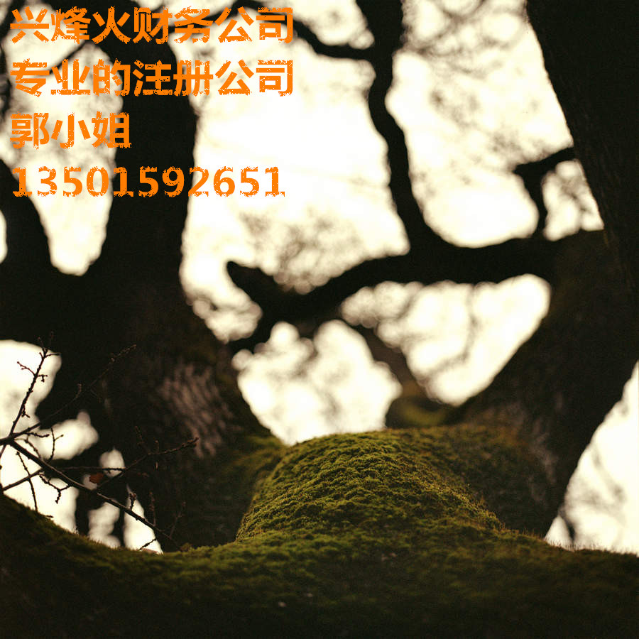 ·רҵעṫ˾һ˰ 
ؼ: