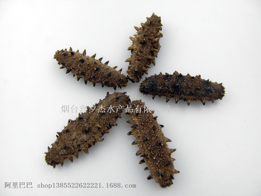 ̨ϦܺΡ깩ӦɺξƵ̳Ż 
ؼ: