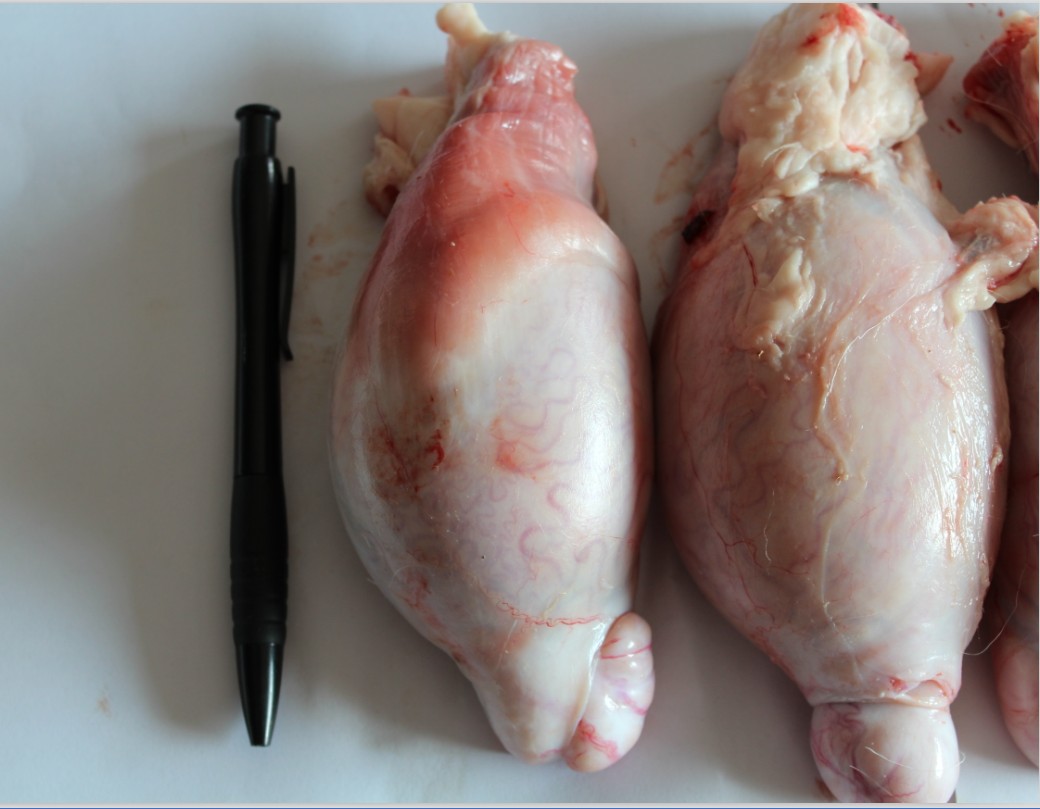 ൺţ ̨ʵţ⡾ׯ԰ 
ؼ: