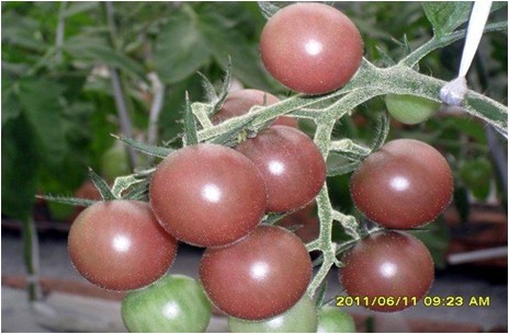 Զл 
ؼ: