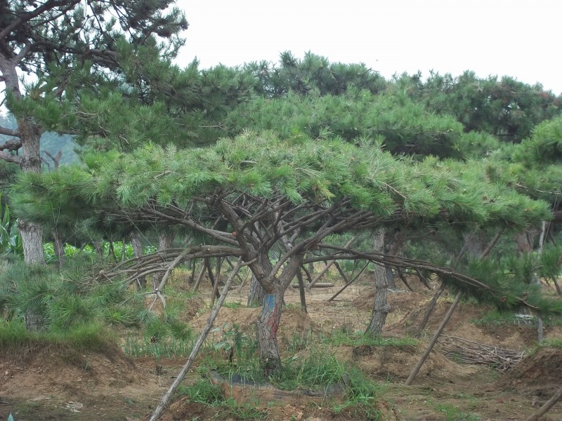 Ϋ̻ľΫ԰ֹ Ϋ۹ Ϋ԰ľ 
ؼ: