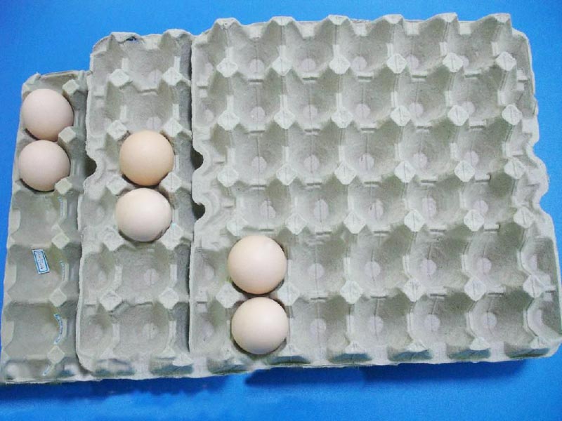 豸۸|豸|ле 
ؼ: