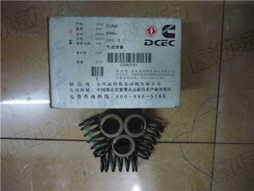 ˹ISBE 3943161 
ؼ: