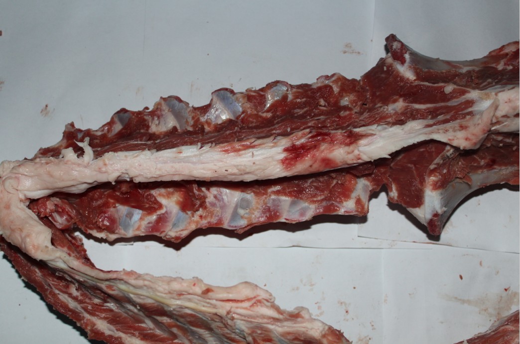 ൺõţ ൺţר꡾ׯ԰ 
ؼ: