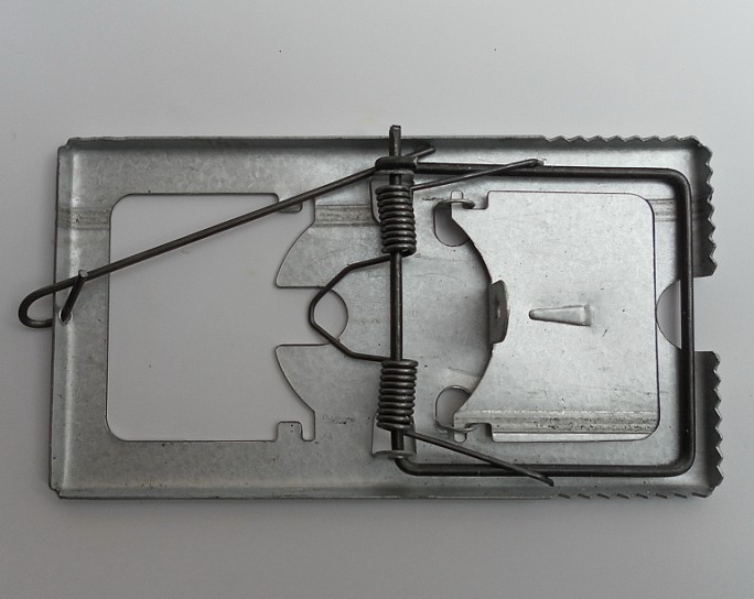 רЧҩ רЧҩ רЧҩ 
ؼ: