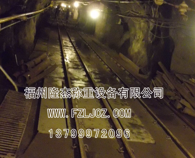 ѡ¡רҵ  ۸ ⳧ 
ؼ: