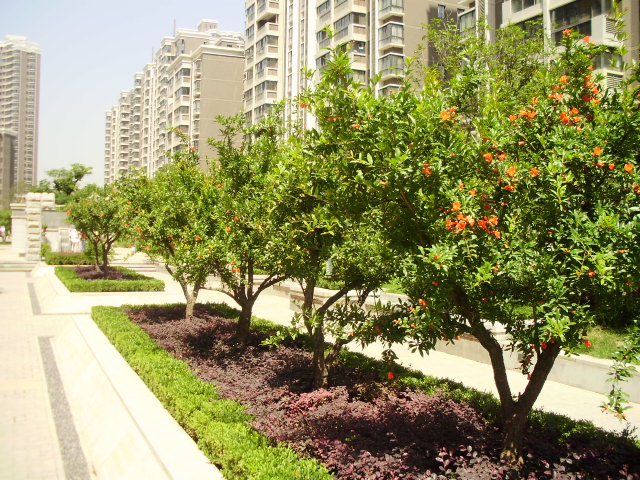 ԰̻  ԰̻һ רҵʩ 
ؼ: