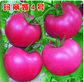 ʷ/۹ӡٹʢҵ 
ؼ: