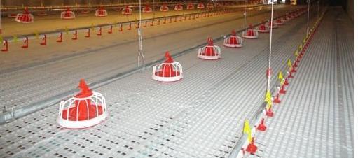 ϵֳϵذ壬ϵذߴ磬ϵذܼ 
ؼ: