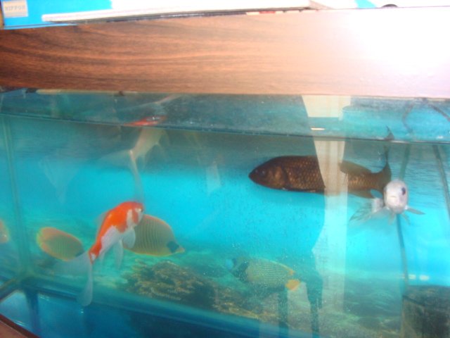 ��׹���ֽ ������ Ʒ�� ��׹���ֽ�۸� 
�ؼ���: