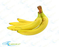 ձԽ轺FE-271-U 
ؼ: