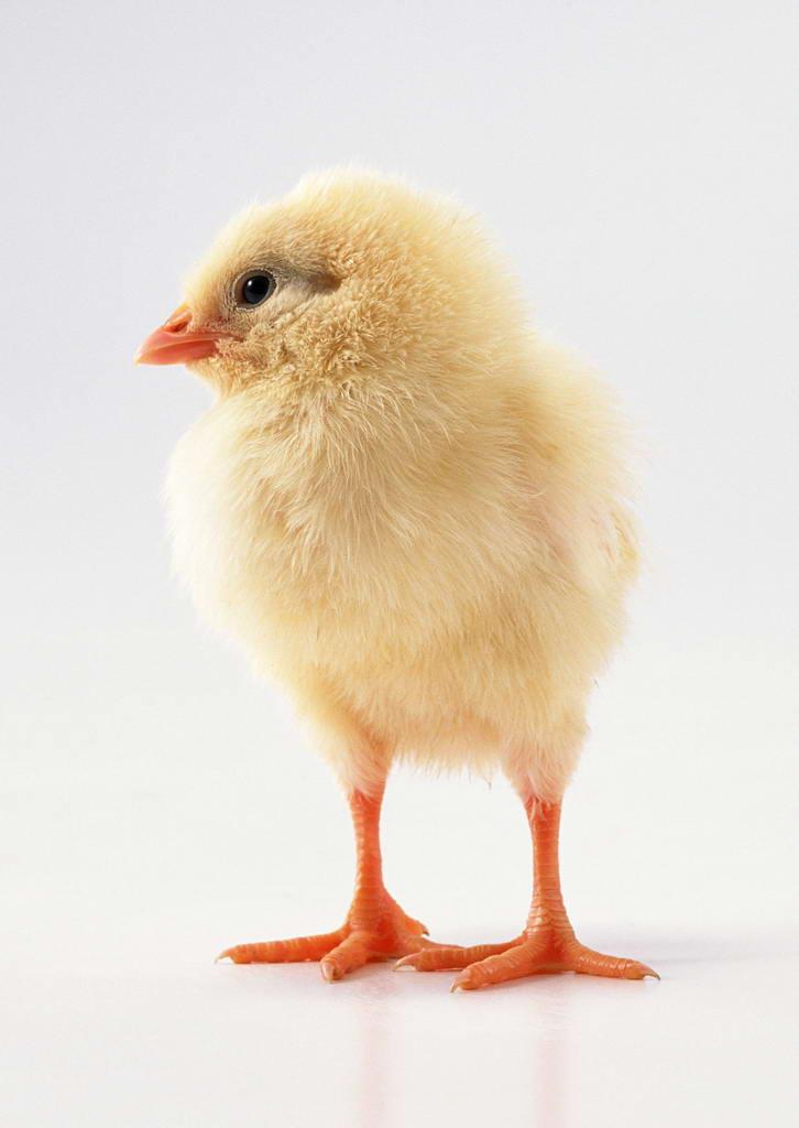 �߲������磬���ּ��������࣬����Ʒ������ĸ߲������� 
�ؼ���: