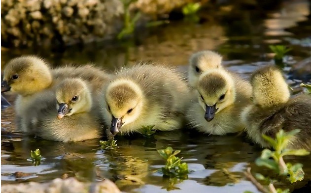 ������Ѽ��,������Ѽ������,������Ѽ��۸�,������������ҵ 
�ؼ���: