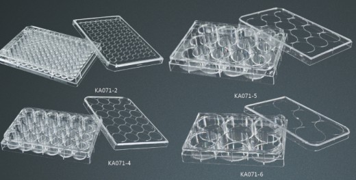 ������ 
�ؼ���: