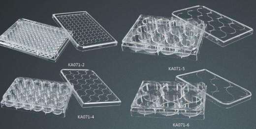 ������רҵ����������ѡ���տ��� 
�ؼ���: