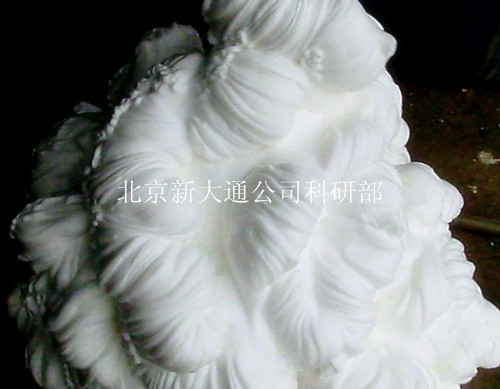 гǽ豸 
ؼ: