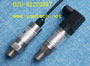 ҺѹѹYP4031-25MPa-B|-G-3 
ؼ: