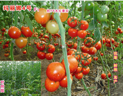 ٹ߲/ʺӡٹʢҵ 
ؼ: