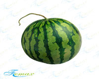 轺 ͸¹轺  𽺵ԭ 
ؼ: