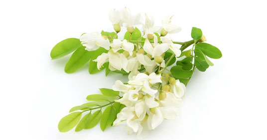 йӦŻݵҰȡ 
ؼ: