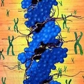 ԭDNA18118527646 
ؼ: