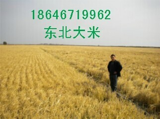 ۼ ۾  18646719962 
ؼ: