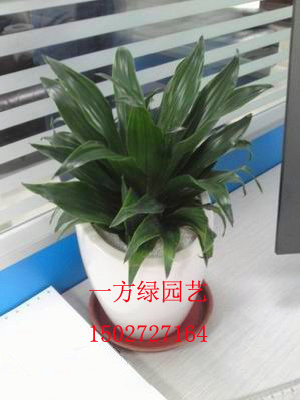 人һ̻ݳ 
ؼ: