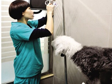 �ڳ����Ȯ����ȥ�ġ���԰�����רҵ���Ƴ�������͡���Ч�졿 
�ؼ���: