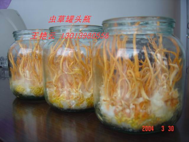 ҹӦ480ml ݲƿ ʯƿ ƿ ƿ 
ؼ: