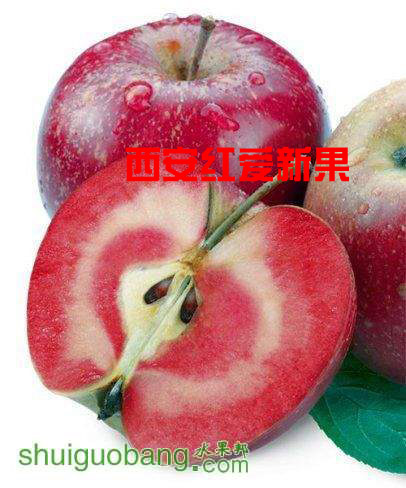 ƻĿڸأ 
ؼ: