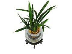 Ӧɽʵõˮ໨ܼ۸ 
ؼ: