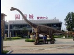 ۸顪ϵȿԹ 
ؼ: