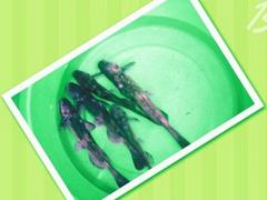 ɫˮ Ʒƺõˮ磬 
ؼ: