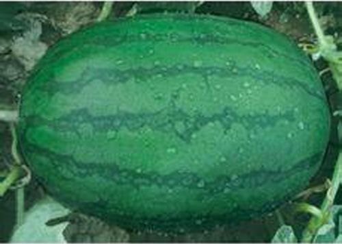 Ʒþۻѡˮũ 
ؼ: