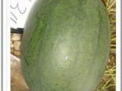 ӦңŻݵ 
ؼ: