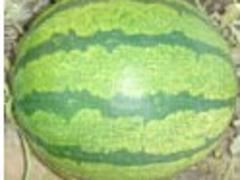 ңŻݵ˳ԵӦ 
ؼ: