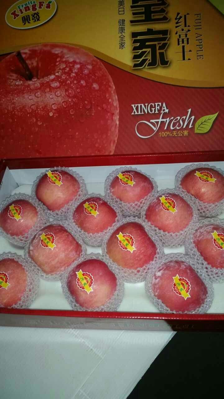 ̨ڱǫ̃츻ʿƻӦ̡ɽ츻ʿƻ 
ؼ: