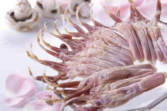 ѼۺѼڱ԰ʳƷӦ 
ؼ: